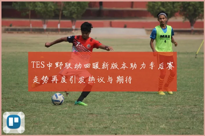 TES中野联动回暖新版本助力季后赛走势再度引发热议与期待
